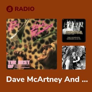 Dave McArtney And The Pink Flamingos Radio
