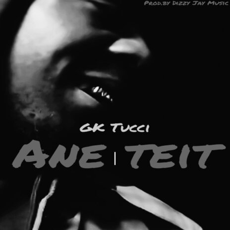 Ane Teit cover art