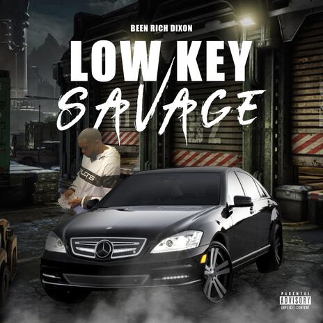 Low Key Savage cover art