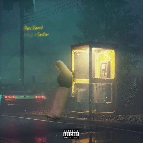 Pas Pareil cover art