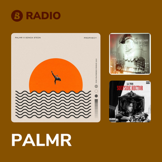 PALMR Radio