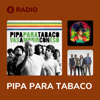PIPA PARA TABACO Radio