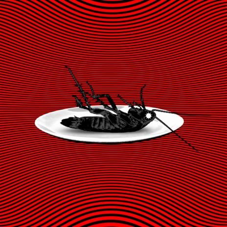 The Generation (Original Mix) cover art