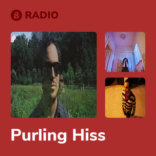 Purling Hiss Radio