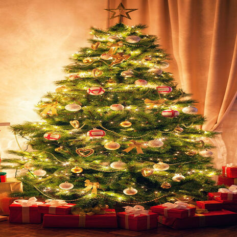 Jingle Night