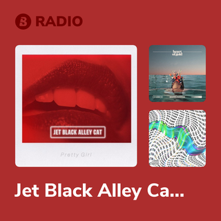 Jet Black Alley Cat Radio