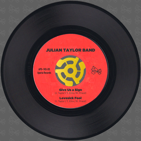 Lovesick Fool ft. Julian Taylor cover art