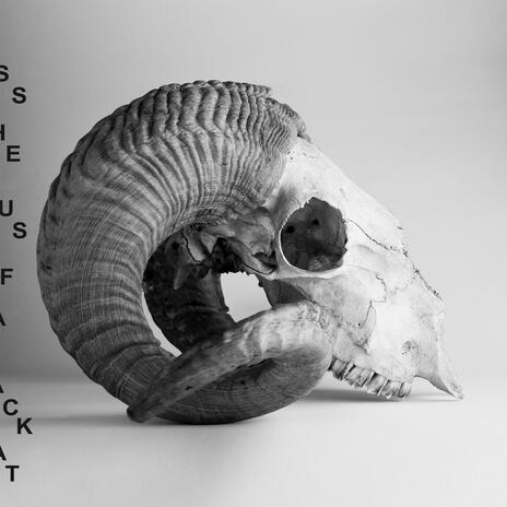 Taking The Auspices cover art