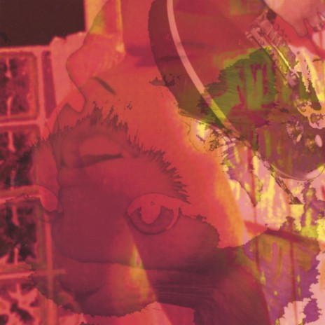 Fool cover art