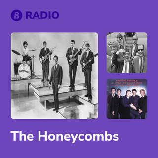 The Honeycombs Radio