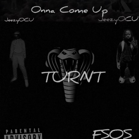 Turnt cover art