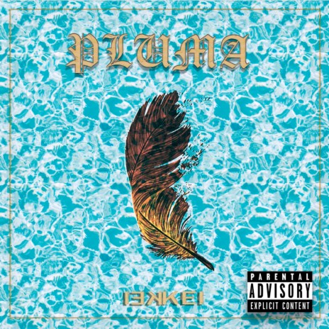Weed And Plug cover art