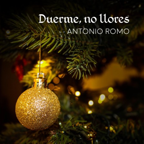Duerme, no llores cover art