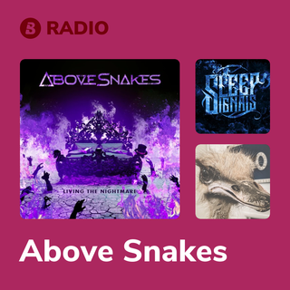 Above Snakes Radio