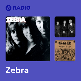Zebra Radio