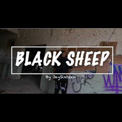 Black Sheep