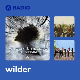 wilder Radio