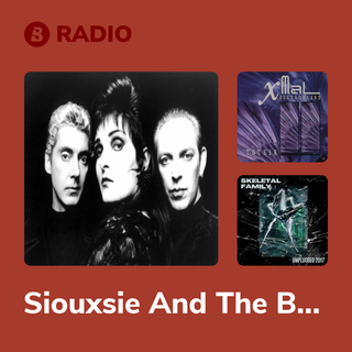 Siouxsie And The Banshees Radio