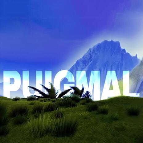 PUIGMAL cover art