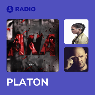 PLATON Radio