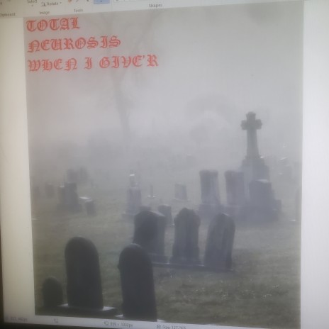 TOTAL NEUROSIS WHEN I GIVE'R cover art