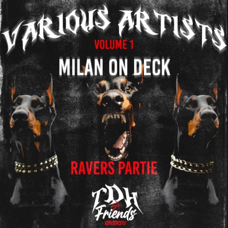 Ravers & Parties cover art