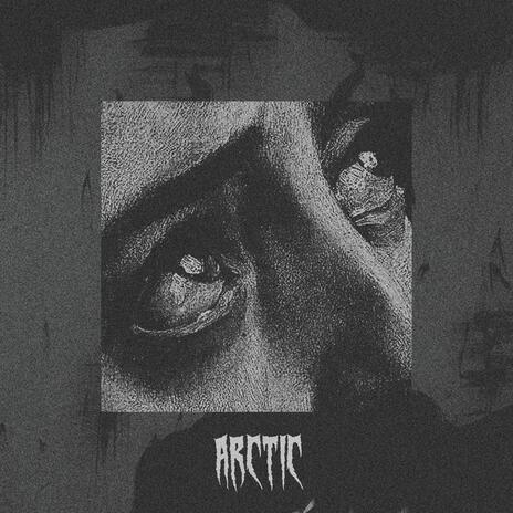 Arctic cover art