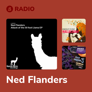 Ned Flanders Radio