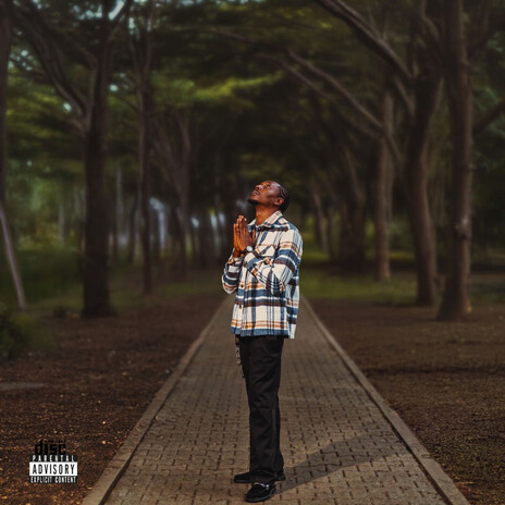 Put Body cover art