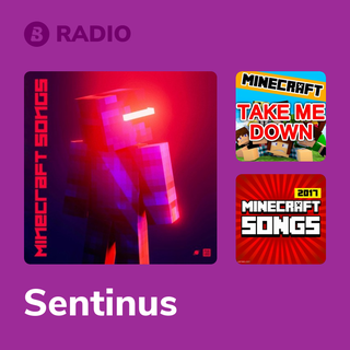Sentinus Radio