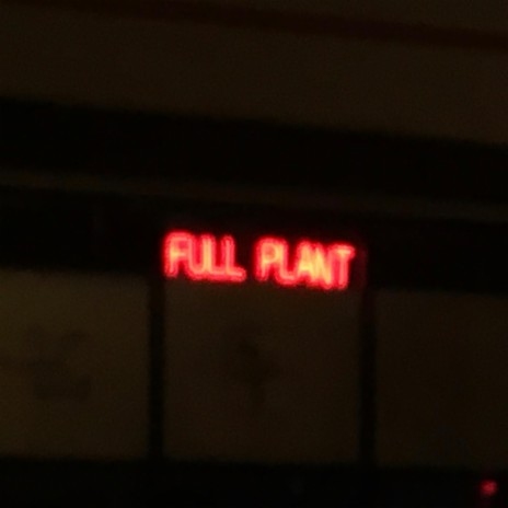 Boy Plant cover art