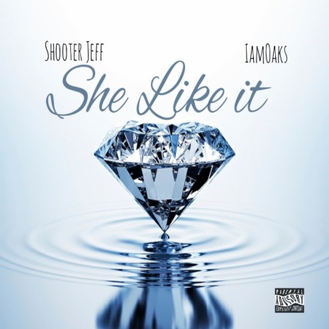 She Like It ft. Shooter Jeff cover art