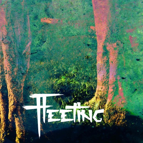 Fleeting cover art