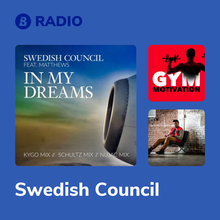 Swedish Council Radio