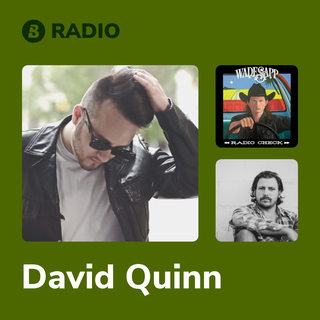 David Quinn Radio
