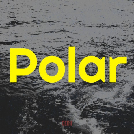 Polar cover art
