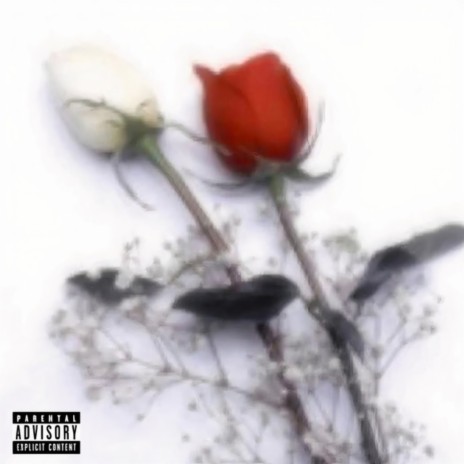Blonde Boy cover art