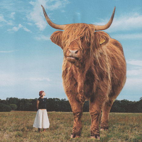 Grab The Bull cover art