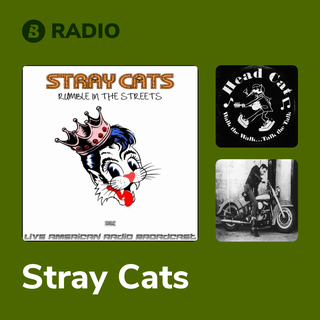 Stray Cats Radio