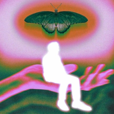 BOZE VLINDER cover art