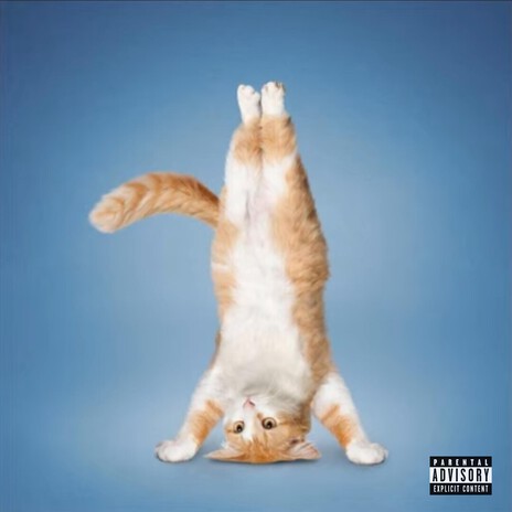 Chopsticks cover art