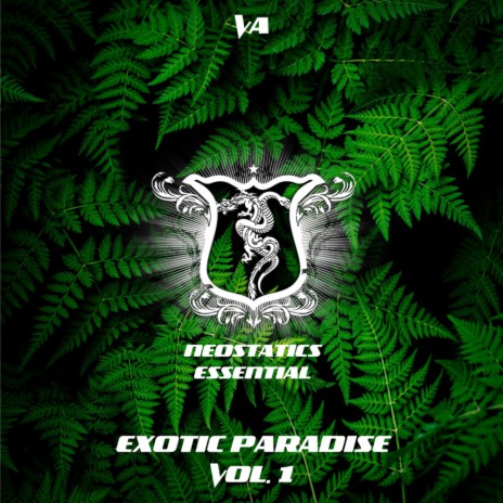 New Color (Original Mix)
