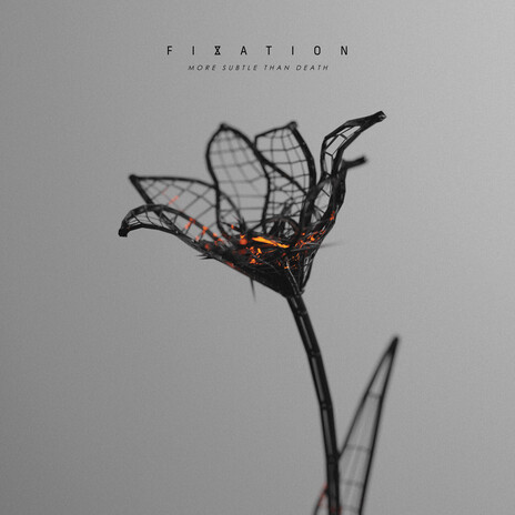 Ignore the Disarray cover art
