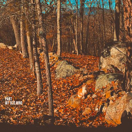 My Old Mind cover art