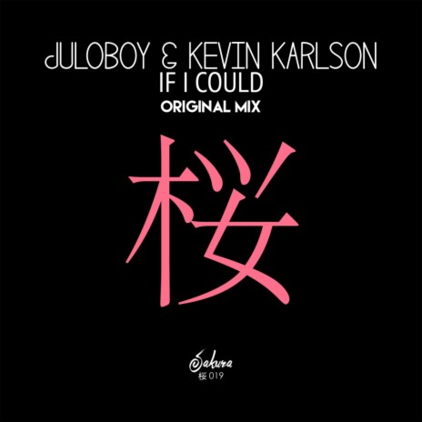 If I Could (Original Mix) ft. Kevin Karlson cover art