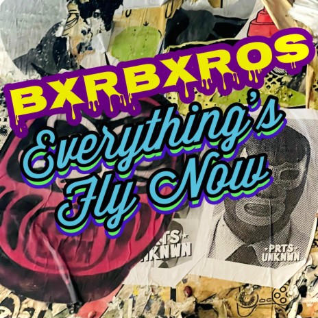 Everything's Fly Now cover art