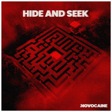 Hide and Seek cover art
