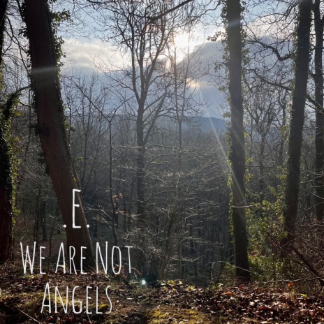 A Storm Is Coming cover art