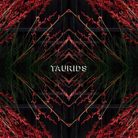Double Vision cover art