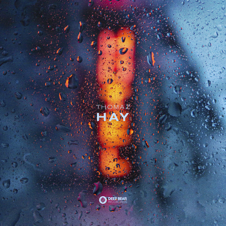 Hay cover art
